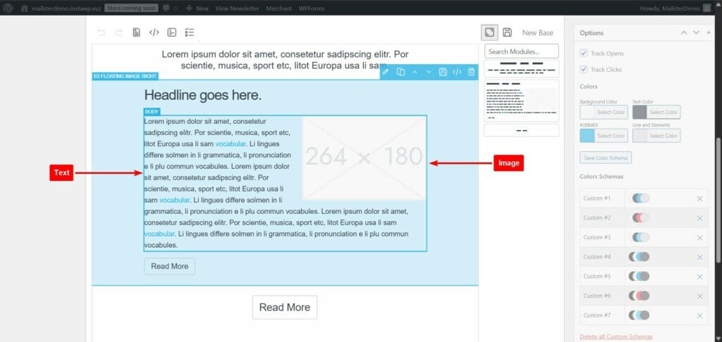 mailster email template adding text and images
