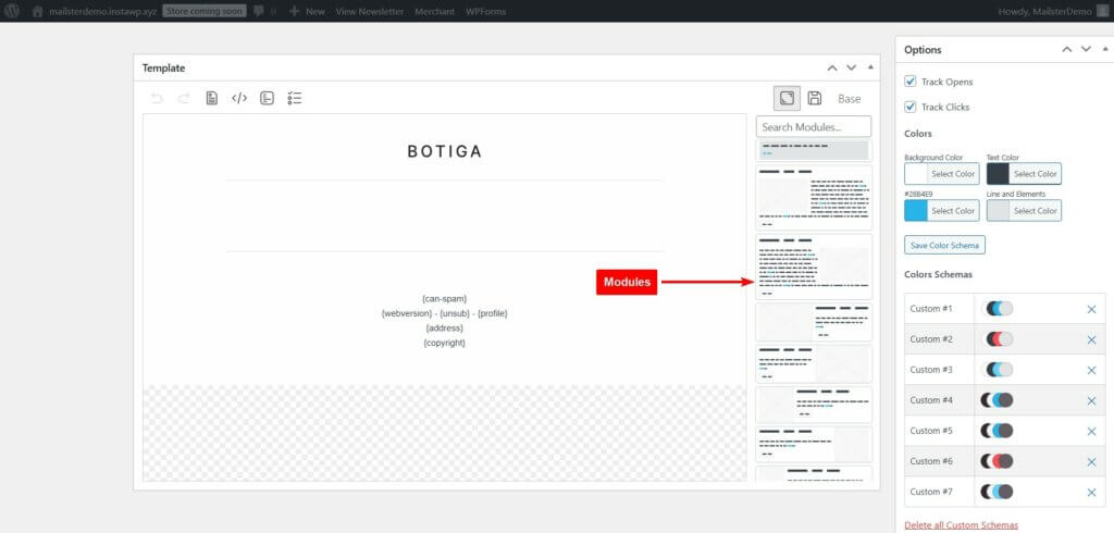 mailster email template modules